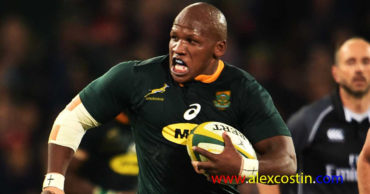 bongi mbonambi